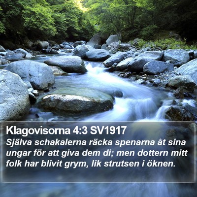 Klagovisorna 4:3 SV1917 Bible Verse Image