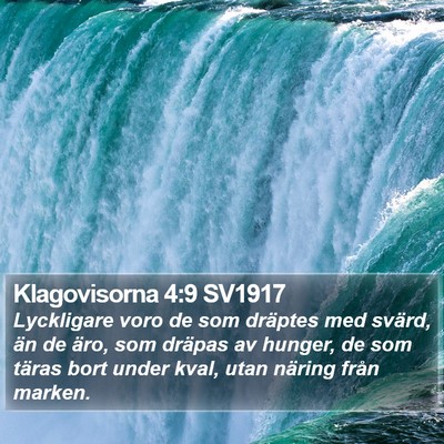 Klagovisorna 4:9 SV1917 Bible Verse Image
