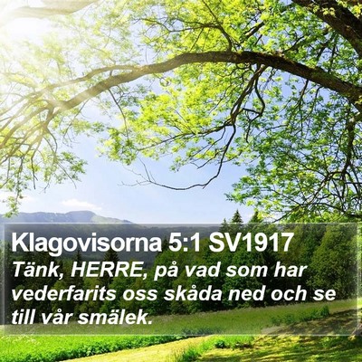 Klagovisorna 5:1 SV1917 Bible Verse Image