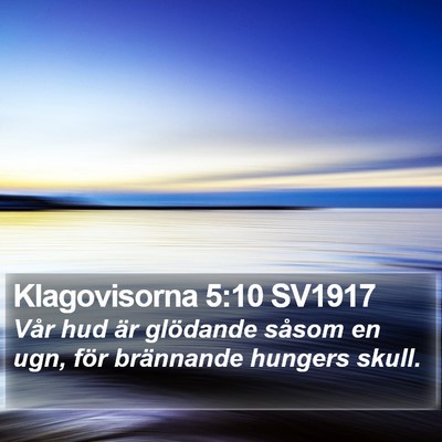 Klagovisorna 5:10 SV1917 Bible Verse Image