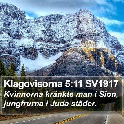 Klagovisorna 5:11 SV1917 Bible Verse Image