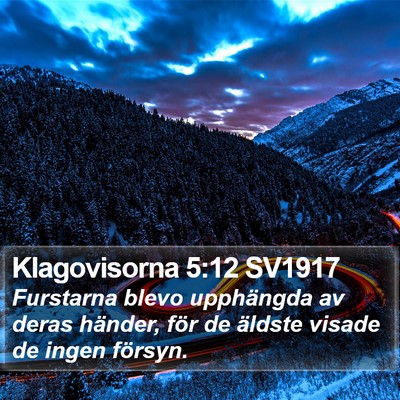 Klagovisorna 5:12 SV1917 Bible Verse Image
