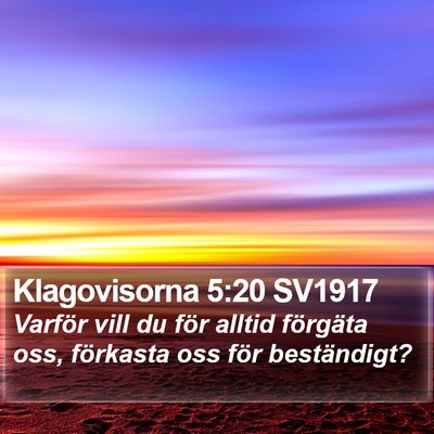 Klagovisorna 5:20 SV1917 Bible Verse Image