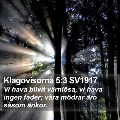 Klagovisorna 5:3 SV1917 Bible Verse Image