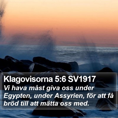 Klagovisorna 5:6 SV1917 Bible Verse Image