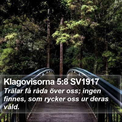 Klagovisorna 5:8 SV1917 Bible Verse Image