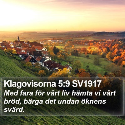 Klagovisorna 5:9 SV1917 Bible Verse Image