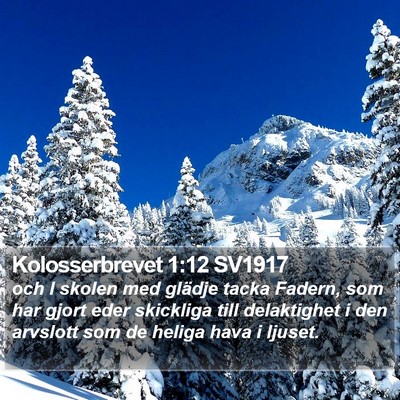 Kolosserbrevet 1:12 SV1917 Bible Verse Image