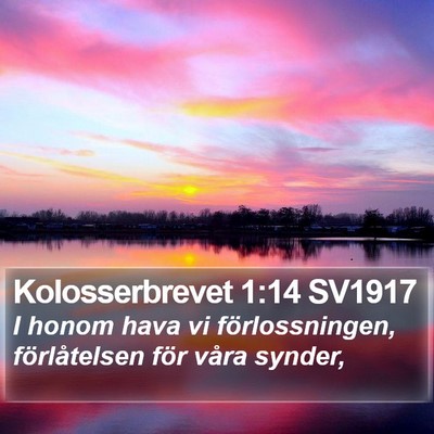 Kolosserbrevet 1:14 SV1917 Bible Verse Image