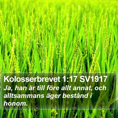 Kolosserbrevet 1:17 SV1917 Bible Verse Image