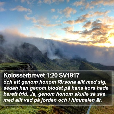 Kolosserbrevet 1:20 SV1917 Bible Verse Image