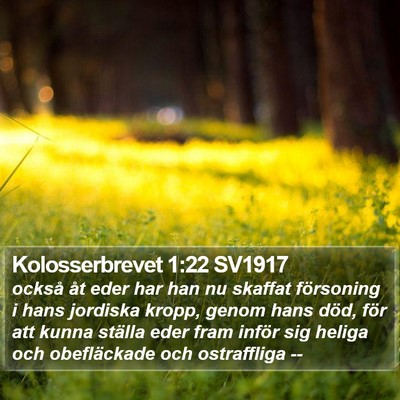 Kolosserbrevet 1:22 SV1917 Bible Verse Image