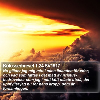 Kolosserbrevet 1:24 SV1917 Bible Verse Image