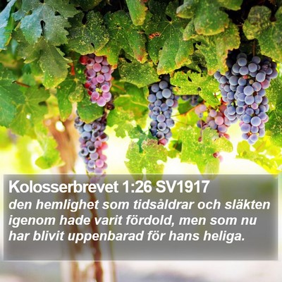 Kolosserbrevet 1:26 SV1917 Bible Verse Image