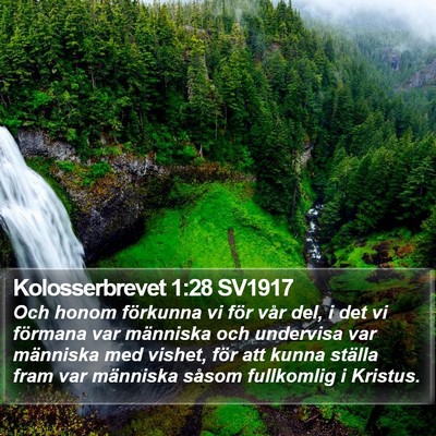 Kolosserbrevet 1:28 SV1917 Bible Verse Image