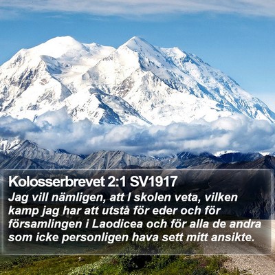 Kolosserbrevet 2:1 SV1917 Bible Verse Image