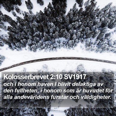 Kolosserbrevet 2:10 SV1917 Bible Verse Image