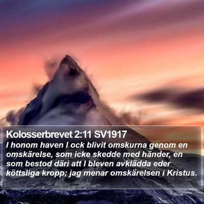 Kolosserbrevet 2:11 SV1917 Bible Verse Image