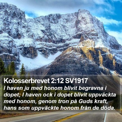 Kolosserbrevet 2:12 SV1917 Bible Verse Image