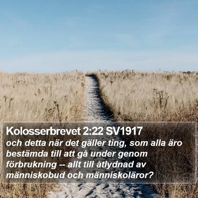 Kolosserbrevet 2:22 SV1917 Bible Verse Image