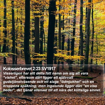 Kolosserbrevet 2:23 SV1917 Bible Verse Image