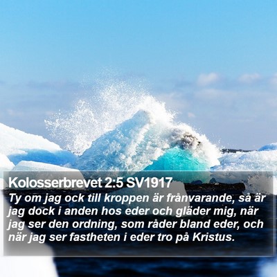 Kolosserbrevet 2:5 SV1917 Bible Verse Image
