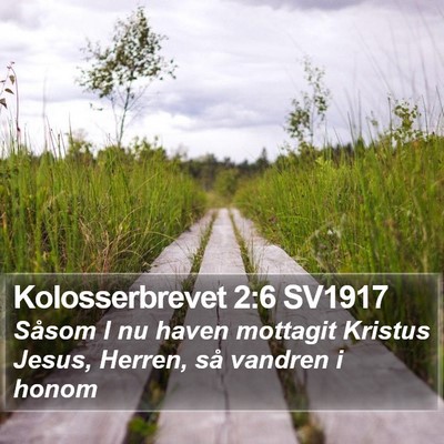 Kolosserbrevet 2:6 SV1917 Bible Verse Image
