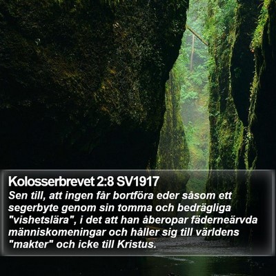 Kolosserbrevet 2:8 SV1917 Bible Verse Image