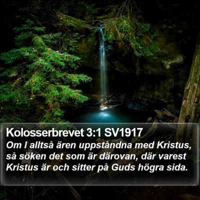 Kolosserbrevet 3:1 SV1917 Bible Verse Image