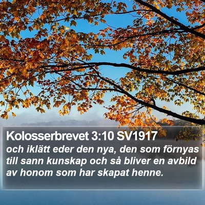 Kolosserbrevet 3:10 SV1917 Bible Verse Image