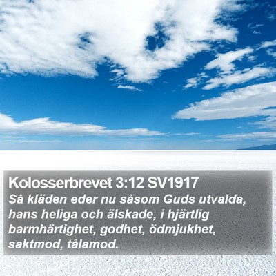 Kolosserbrevet 3:12 SV1917 Bible Verse Image