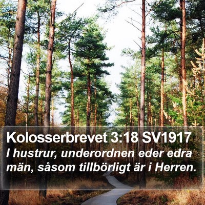 Kolosserbrevet 3:18 SV1917 Bible Verse Image