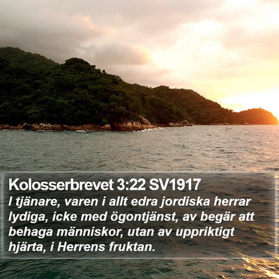Kolosserbrevet 3:22 SV1917 Bible Verse Image
