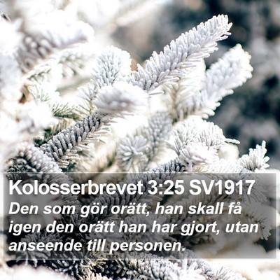 Kolosserbrevet 3:25 SV1917 Bible Verse Image