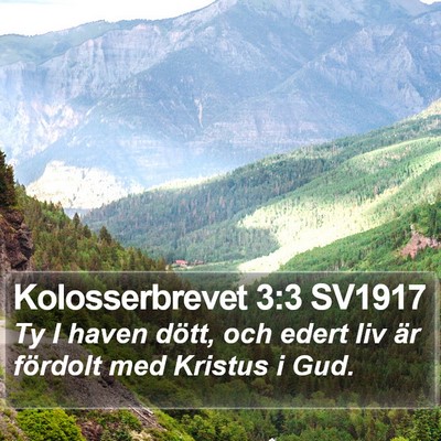 Kolosserbrevet 3:3 SV1917 Bible Verse Image