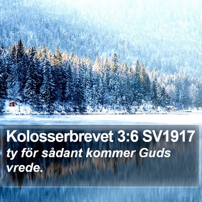 Kolosserbrevet 3:6 SV1917 Bible Verse Image