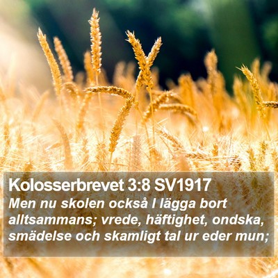 Kolosserbrevet 3:8 SV1917 Bible Verse Image