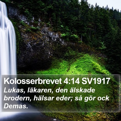 Kolosserbrevet 4:14 SV1917 Bible Verse Image