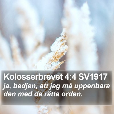 Kolosserbrevet 4:4 SV1917 Bible Verse Image
