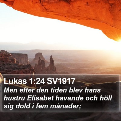 Lukas 1:24 SV1917 Bible Verse Image