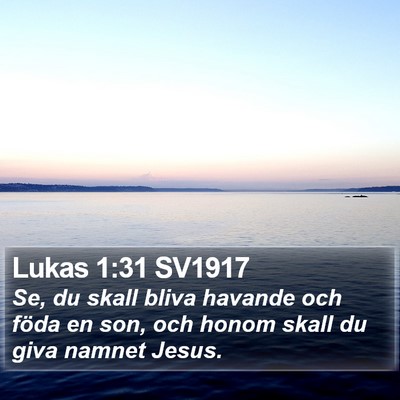Lukas 1:31 SV1917 Bible Verse Image