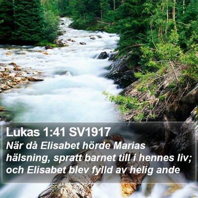 Lukas 1:41 SV1917 Bible Verse Image