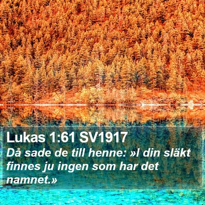 Lukas 1:61 SV1917 Bible Verse Image