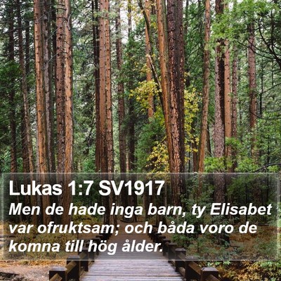 Lukas 1:7 SV1917 Bible Verse Image