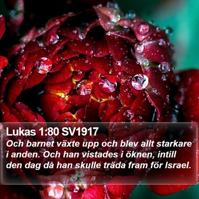 Lukas 1:80 SV1917 Bible Verse Image