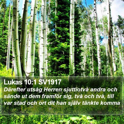 Lukas 10:1 SV1917 Bible Verse Image