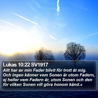 Lukas 10:22 SV1917 Bible Verse Image