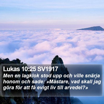 Lukas 10:25 SV1917 Bible Verse Image