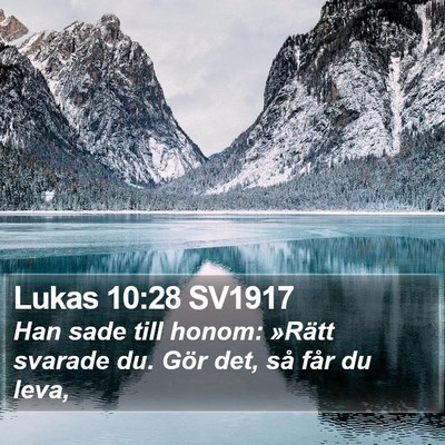 Lukas 10:28 SV1917 Bible Verse Image