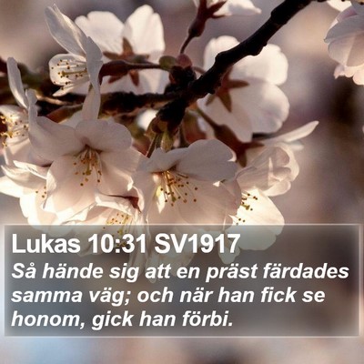 Lukas 10:31 SV1917 Bible Verse Image